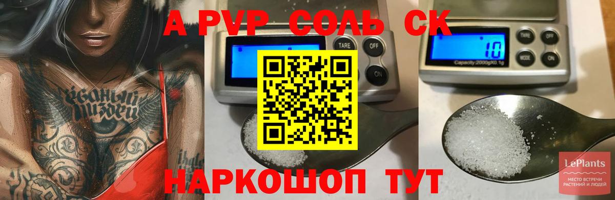 ТГК Кингисепп