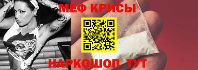 стафф Кингисепп
