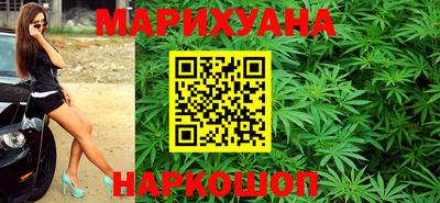 стафф Кингисепп