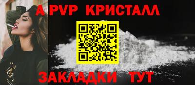 стафф Кингисепп