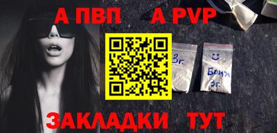 стафф Кингисепп