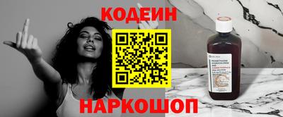стафф Кингисепп