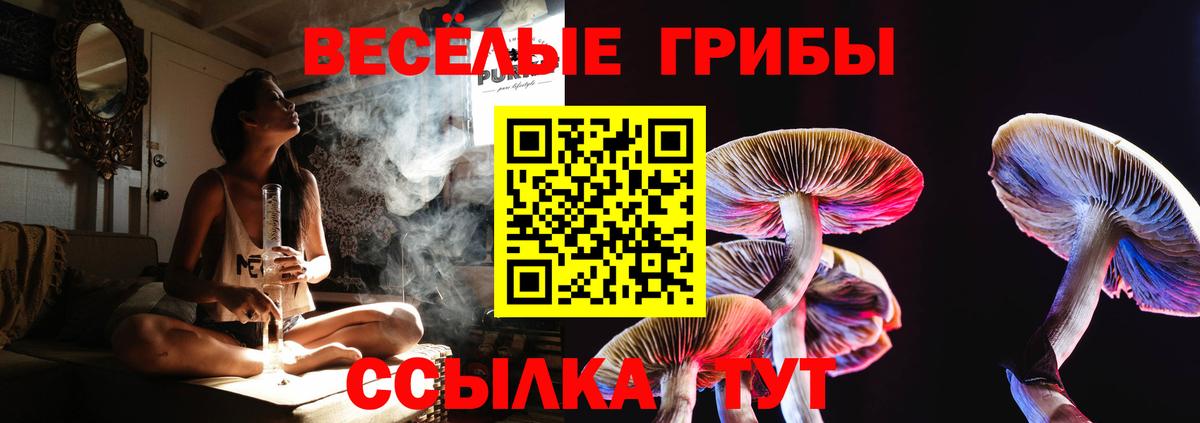 Галлюциногенные грибы Magic Shrooms Кингисепп